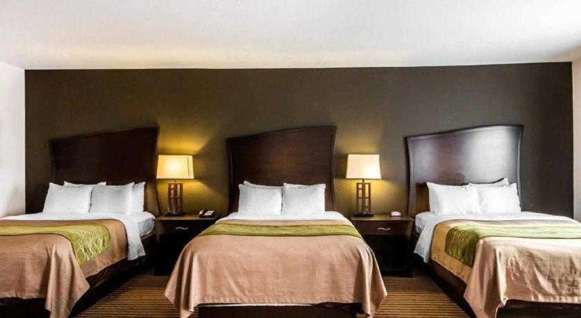 Comfort Inn & Suites Alva Kültér fotó